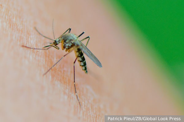 В Анапе решили бороться с комарами при помощи дронов
