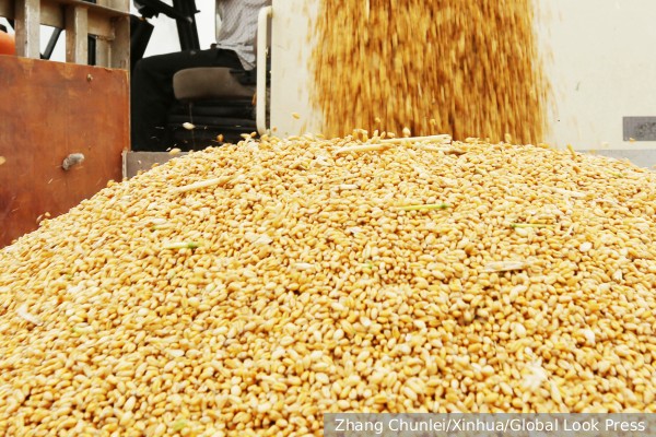 Дуда заявил о необходимости для Украины принять меры против неконтролируемых поставок зерна в Польшу