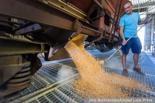 Украина согласилась прекратить поставки зерна в Польшу после протестов фермеров