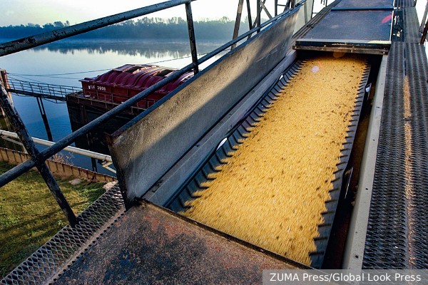 МИД: Зерновая сделка обслуживает экспорт Киева в интересах Запада