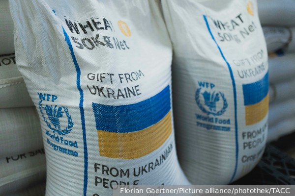 Молдавские фермеры потребовали ограничить ввоз зерна с Украины