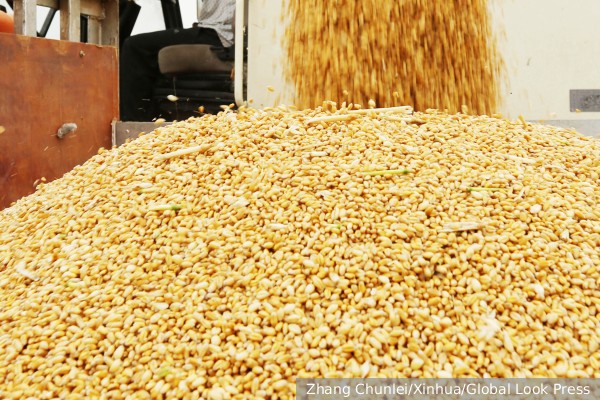 Вице-президент ЕК Дубровскис попросил Польшу, Венгрию, Болгарию и Словакию отменить запрет импорта зерна с Украины