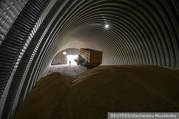 Экономист: Восточная Европа готова биться против украинского зерна