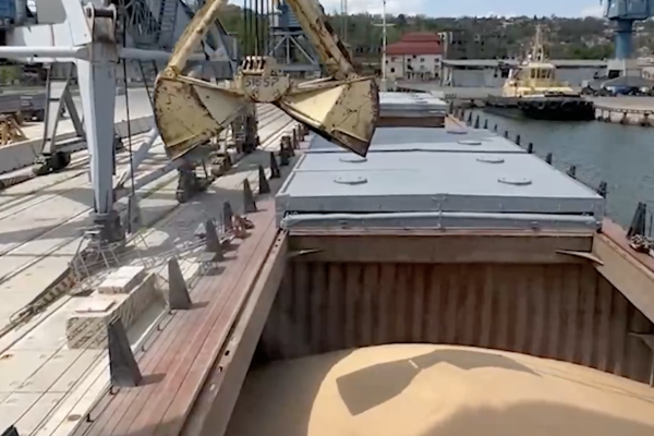 В Мариупольском морском торговом порту загрузилось первое судно с зерном из ДНР