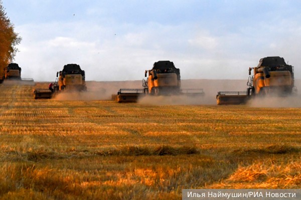 Политолог Потуремский: Сельское хозяйство в России стало образцовой отраслью экономики