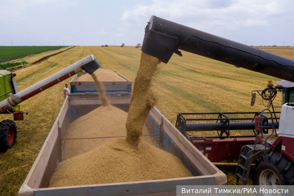 Россия подняла сельское хозяйство до новых высот