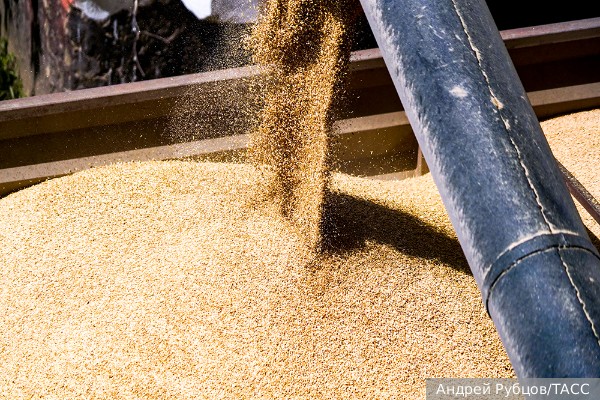 Венгрия попросила ЕС продлить ограничения на импорт украинского зерна 