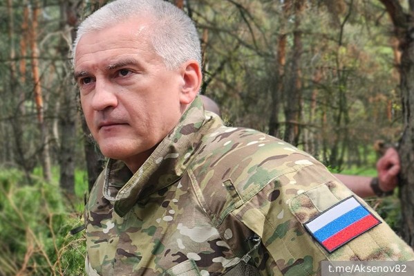 Аксенов предложил наказание для стран за поставки оружия Киеву