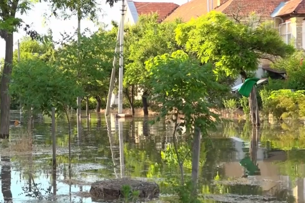 Сальдо сообщил о снижении уровня воды в Херсонской области после затопления