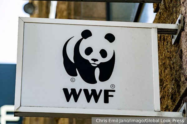 Генпрокуратура признала WWF нежелательной в России