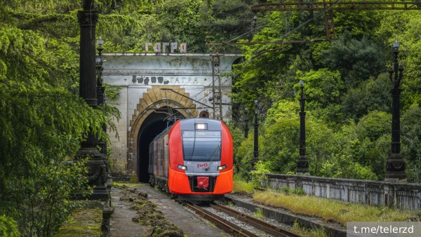 РЖД: Два поезда в Москву и Петербург остановлены в пути из-за сильного ливня в Абхазии