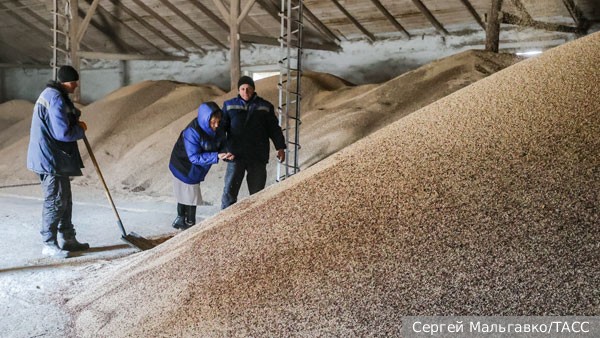 Названы понесенные Россией убытки из-за зерновой сделки 