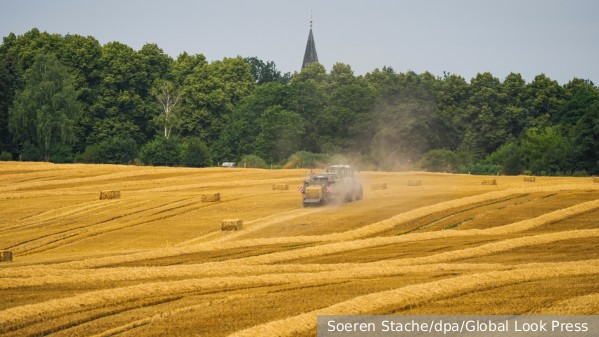 Россия выдвинула семь условий возвращения в зерновую сделку