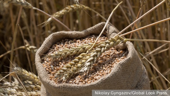 Мали поблагодарила Россию за поставки пшеницы и удобрений