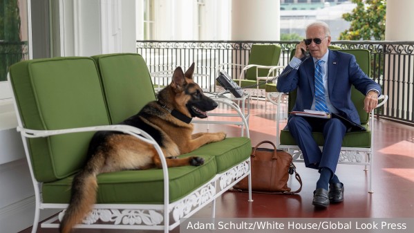 В Белом доме объяснили агрессивность собаки Байденов