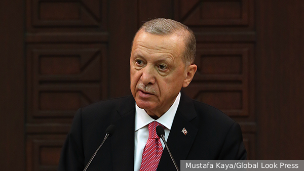 Эксперт объяснил решение Эрдогана поддержать Россию по зерновой сделке