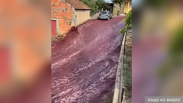После ЧП на заводе красное вино растеклось по улицам города в Португалии