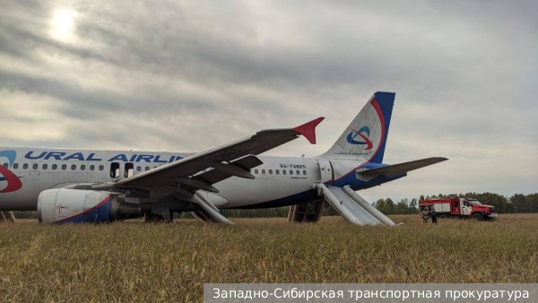 Пассажирский самолет сел в поле в Новосибирской области
