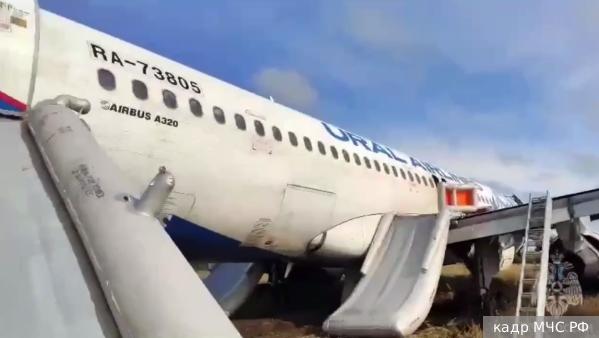 Появились кадры с места посадки самолета в поле в Новосибирской области