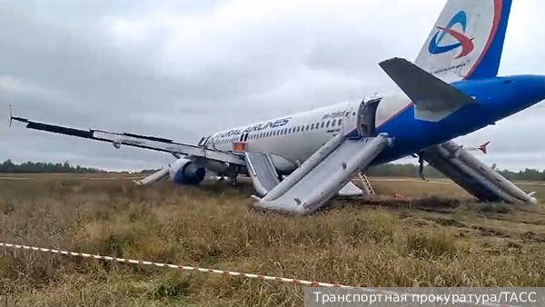 Названа причина посадки самолета в поле в Новосибирской области