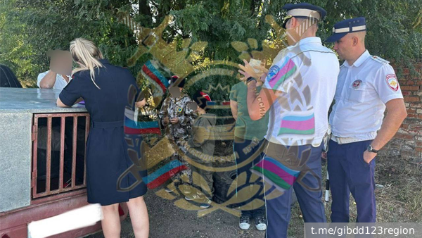 На Кубани мать пересадила детей на трассе в прицеп для собаки за плохое поведение