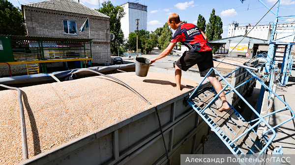 Эксперт: Иск в ВТО не поможет Украине продать зерно в Восточной Европе