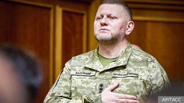 СМИ: На Залужного могут завести уголовное дело из-за потери юга Украины