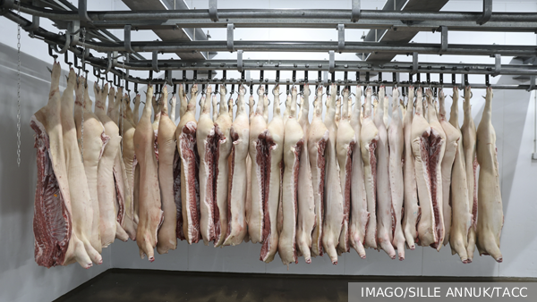 Китай разрешил поставки свинины из России после 15 лет запрета