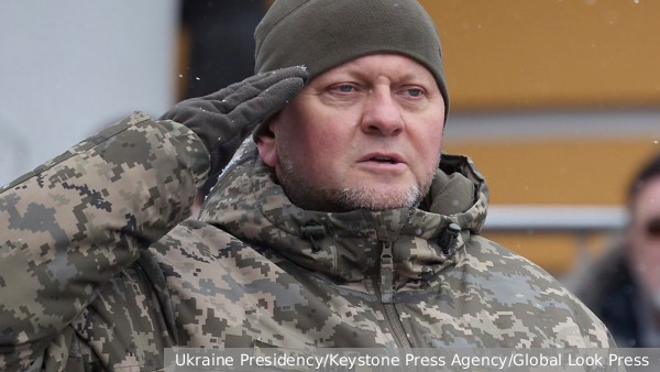 Появились сообщения о возможном предъявлении обвинений Залужному на Украине