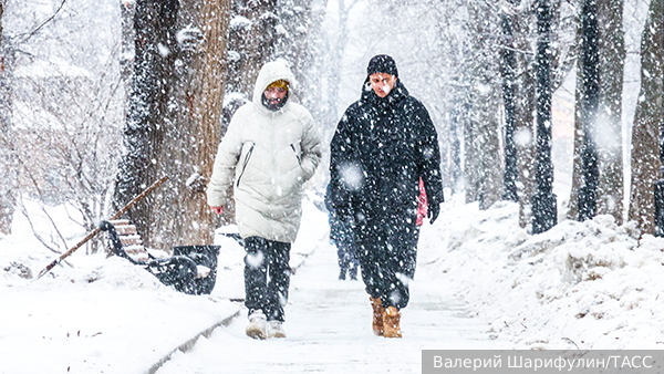 Москвичам пообещали сильные снегопады и метели 