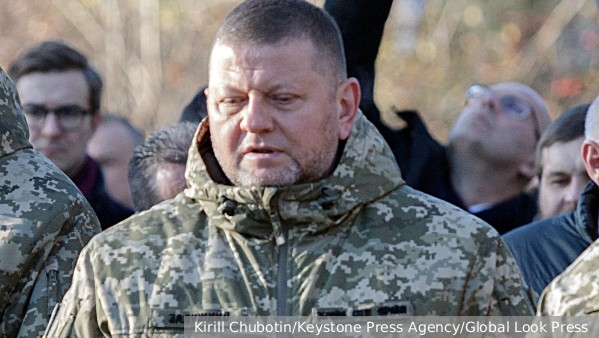 Офис Зеленского велел местным властям на Украине прекратить общение с Залужным