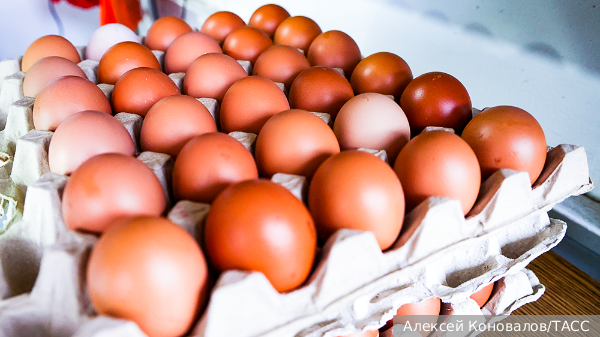 В ряде торговых сетей ограничили наценку на куриные яйца