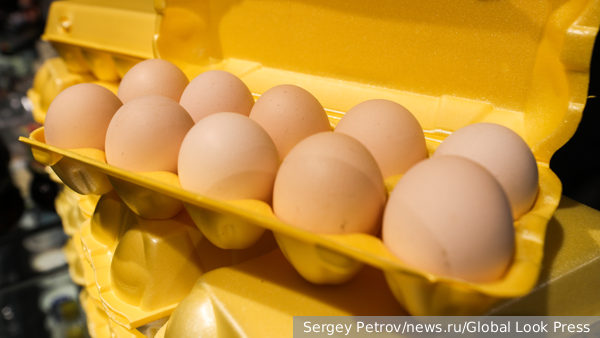 Путин извинился за повышение цен на яйца, объяснив сбоем в работе правительства