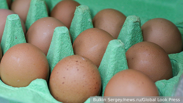 В Россию ввезли тонны яиц из Азербайджана