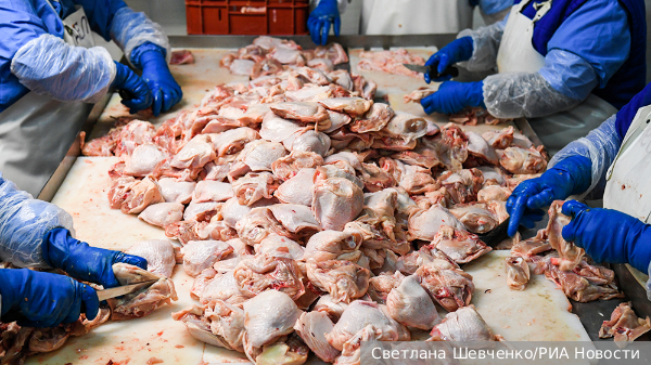 В России обнулили таможенные пошлины на ввоз мяса кур для стабилизации цен