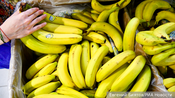 В России исключили дефицит бананов из-за эквадорской мухи