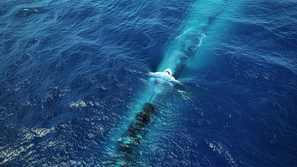 Общество: Проект «Лада» станет будущим российского подводного флота