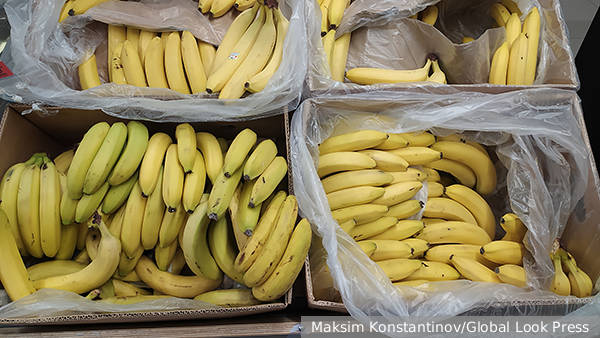 Россия разрешила поставки бананов из Эквадора