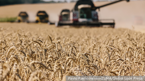 Лавров: Сельхозземли на Украине присвоены американским бизнесом