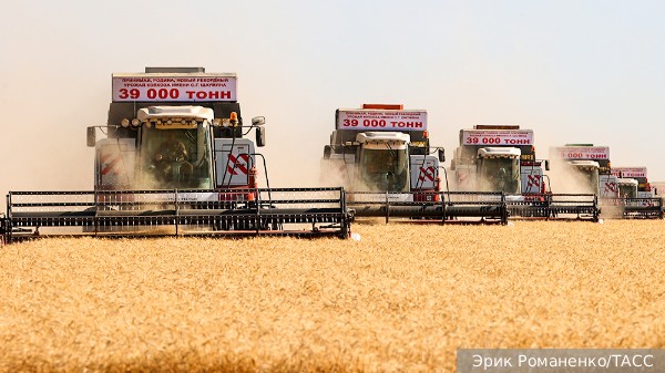 Путин одобрил инициативу создания зерновой биржи в рамках БРИКС