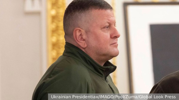 Опрос показал победу Залужного в случае участия в выборах президента Украины