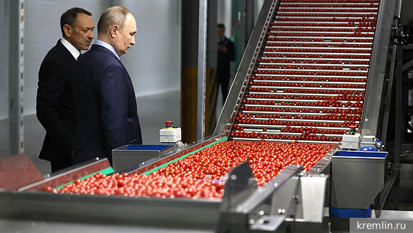 Политолог: Россия обеспечила продовольственный суверенитет