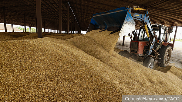FT: ЕС вводит пошлины на зерно из России и Белоруссии