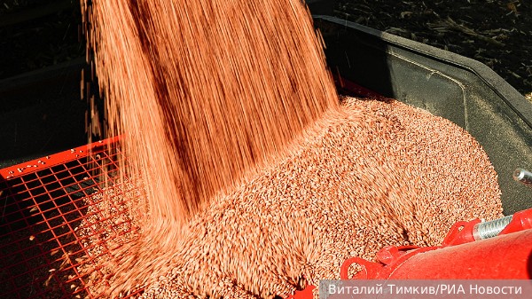 Пошлины на зерно из России сделают хлеб роскошью для европейцев