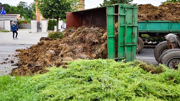 Польские фермеры вывалили кучу навоза у дома родителей спикера сейма Холовни