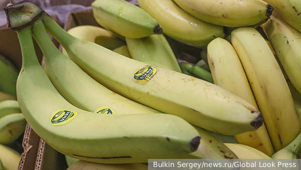 Глава Россельхознадзора Данкверт не увидел проблем с поставками бананов из Эквадора