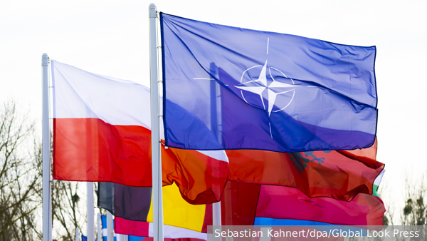 Эксперты Бундестага: При ударе России по силам НАТО на Украине 5-я статья не сработает