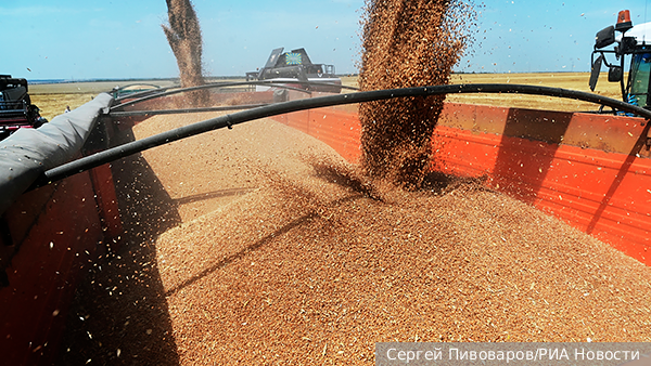 Литва возобновила закупки российского зерна после перерыва на полгода