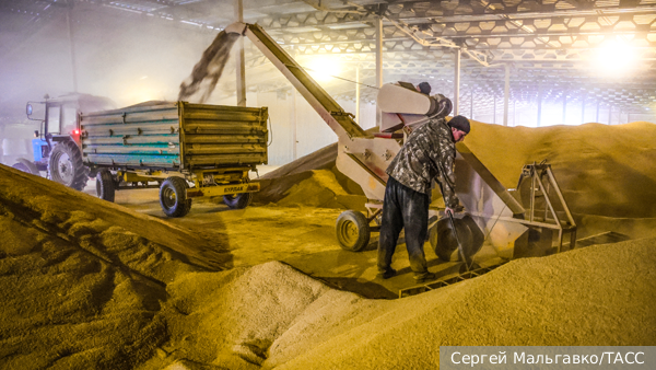 Экономика: Почему Литва снова начала покупать российское зерно
