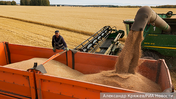 Экономика: Почему технологичность посевов российских зерновых резко упала
